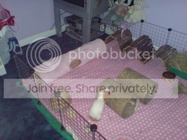 DSC02135.jpg