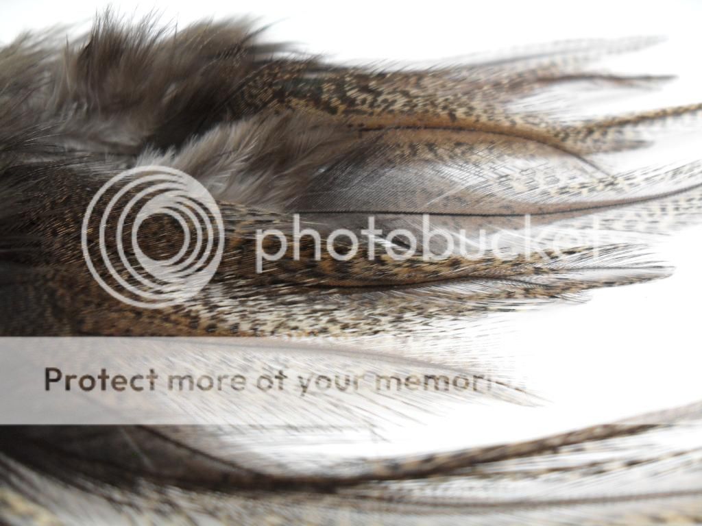   CDL GOLD BRONZE ROOSTER SADDLE HAIR EXTENSION FEATHERS up 7L  