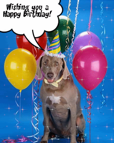 happy-birthday-dog.gif