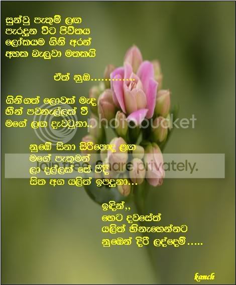 yalithhinahennata.jpg