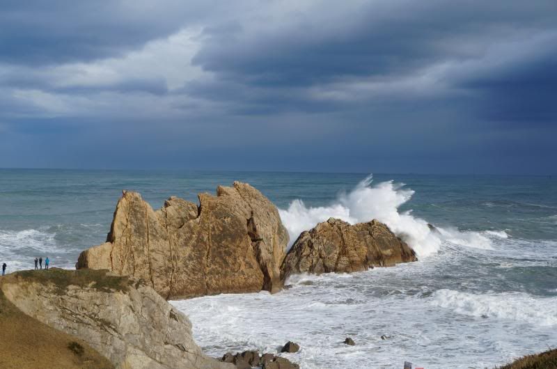 DSC04107_zpsf48c6d32.jpg