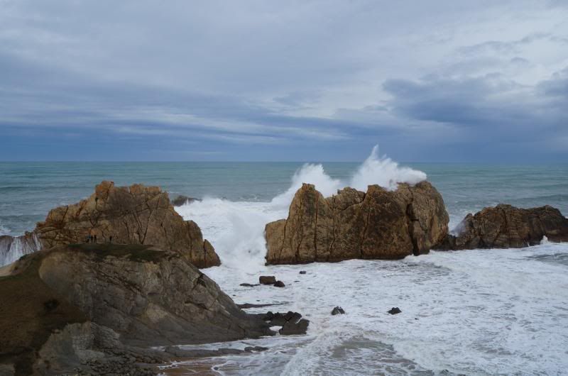 DSC04132_zps57f85206.jpg