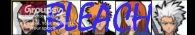 Enter the World of Bleach banner