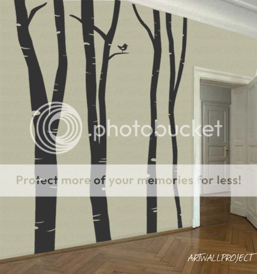 Wall Vinyl Decal Sticker Forest Birch tree 101 height  